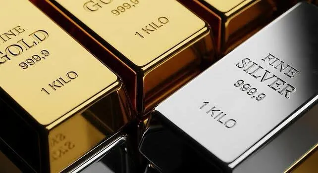 Precious Metal Commodities